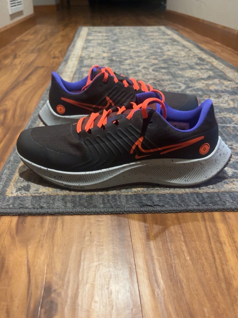 Nike Air Zoom Pegasus 38 Shield
